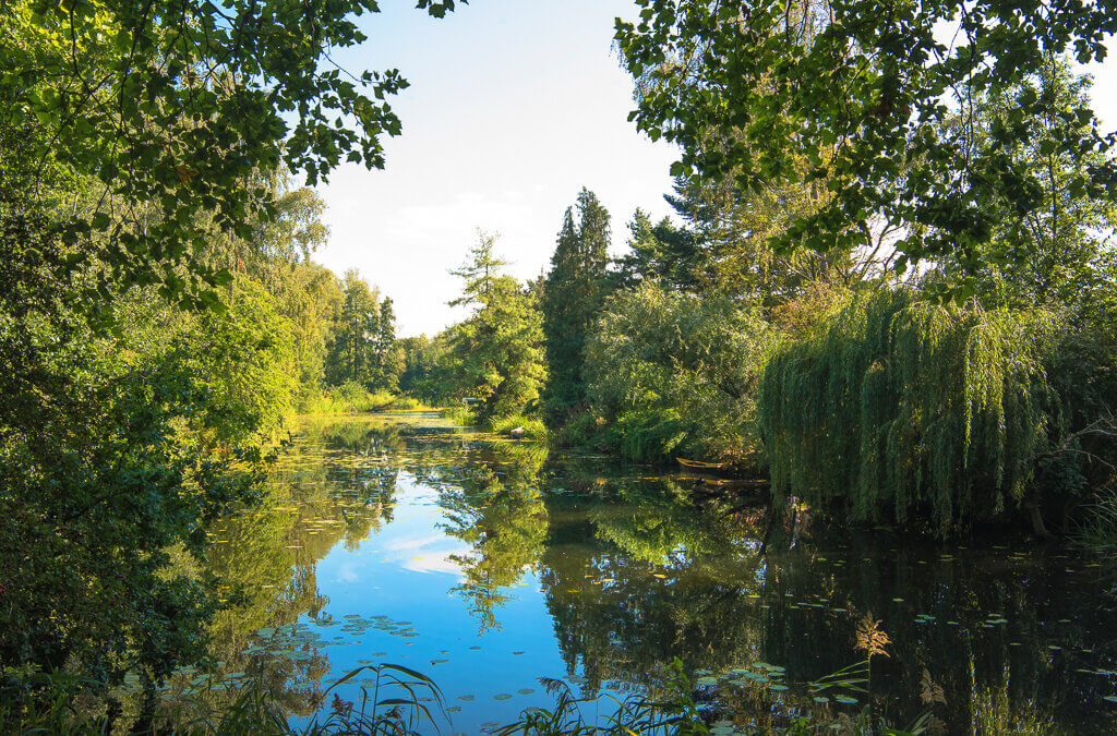 Biodiversiteit in de Gemeente Enkhuizen