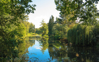 Biodiversiteit in de Gemeente Enkhuizen