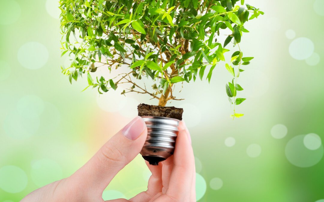 Cyber met vlag en wimpel geslaagd voor CO2-audit