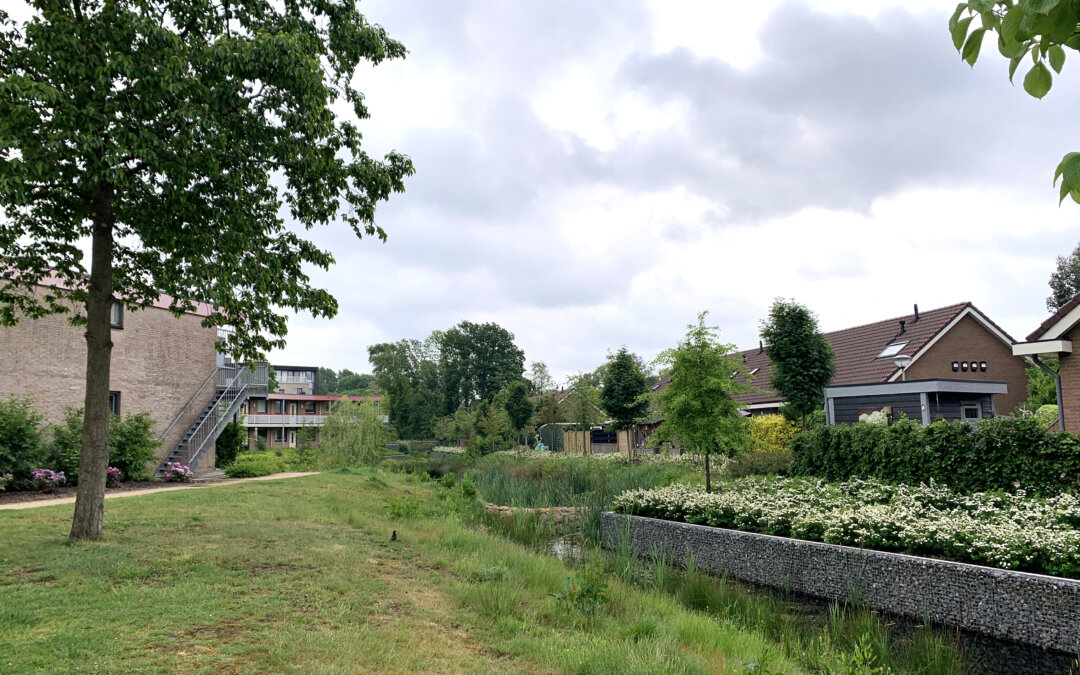 Beleid met verbindende waarden