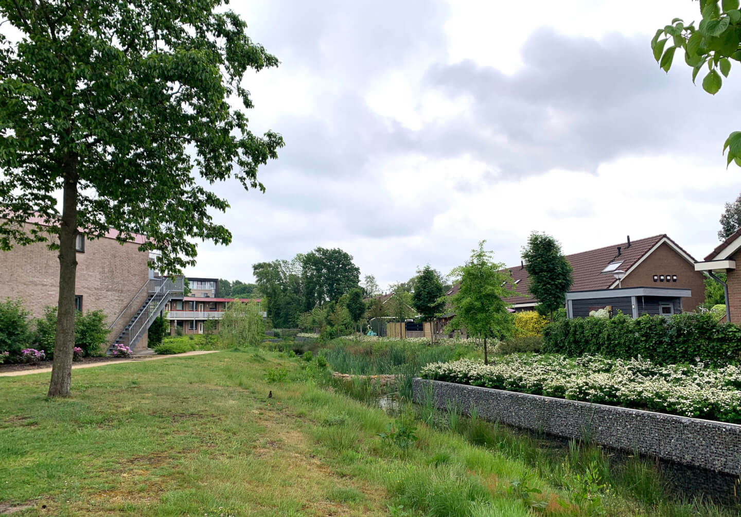 IMG_4908 copy Hattem