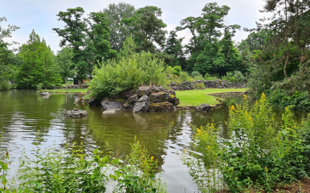 Cyber ondersteunt gemeente Emmen bij inrichting openbare ruimte