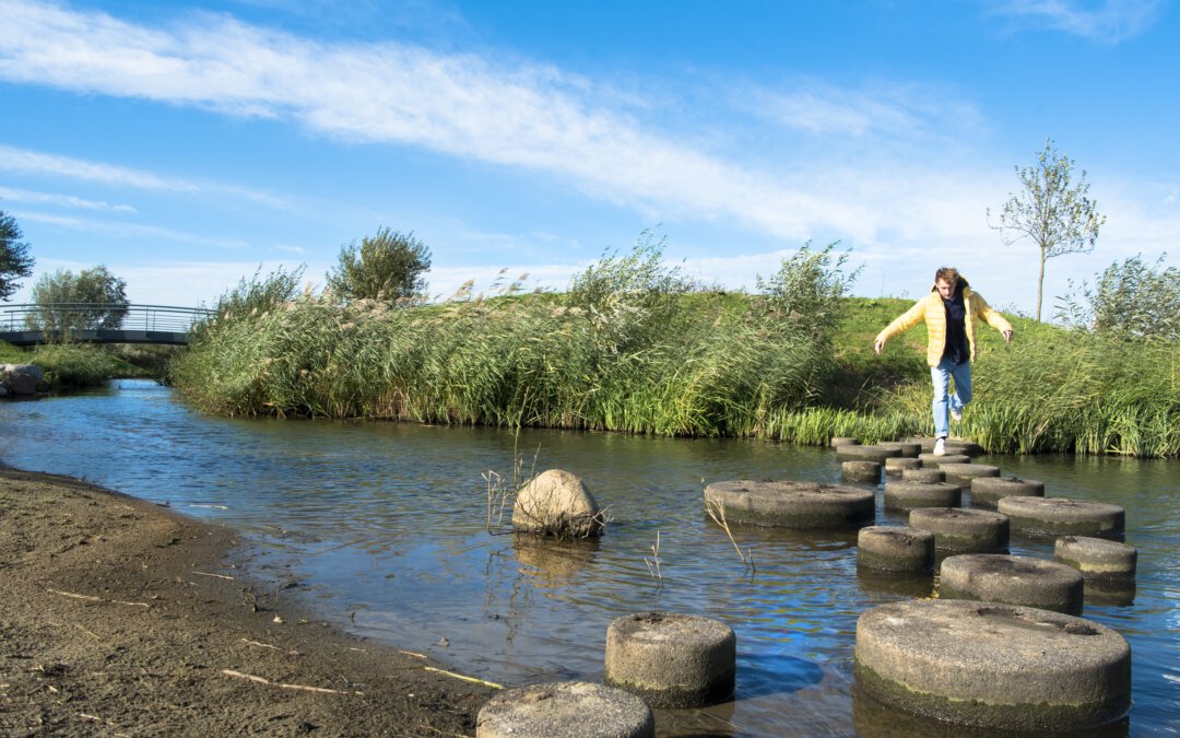 Uitnodiging ‘Kennissessie sturen op waarden; hoe dan?