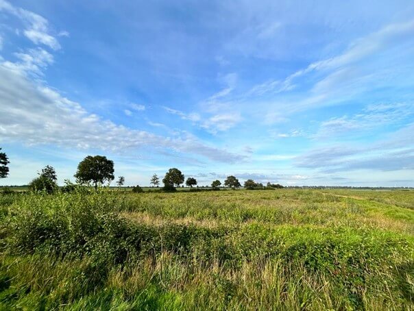 Groenvisie draagt bij aan identiteit en beleving Borger-Odoorn