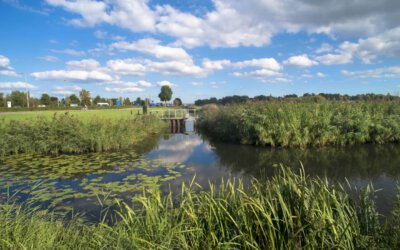 Rekenkameronderzoek Gooise Meren: grip op de buitenruimte