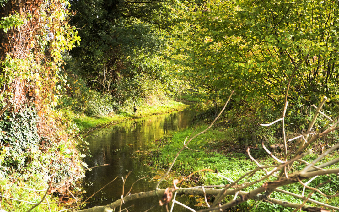 Evaluatie groenbeleidsplan