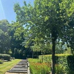 Nieuw beheerplan voor begraafplaatsen Ridderkerk